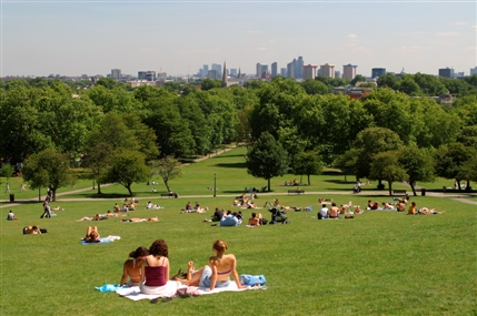  then I'd recommend the short trip down to Primrose Hill.